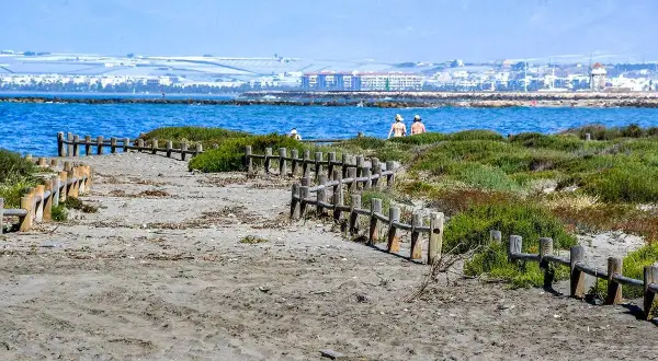 Camino de madera en la playa de Punta Entinas Sabinar, con vegetación y el mar azul al fondo.
