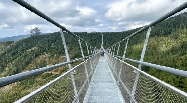 Długa, wisząca konstrukcja Sky Bridge 721 wznosi się nad lasem. Ludzie spacerują po moście, podziwiając widoki.