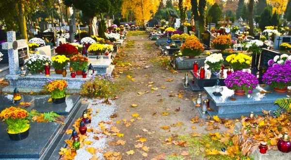 Jak zabezpieczyć kwiaty na cmentarzu przed kradzieżą i uniknąć straty