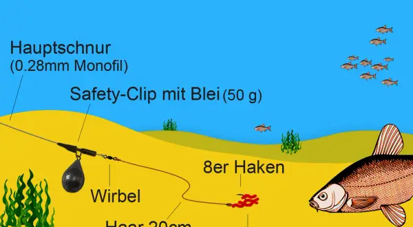 Montage zum Schleie angeln: Hauptschnur, Safety-Clip mit Blei, Wirbel, Haar mit Wurfbündel und Haken. Kleine Fische schwimmen im Wasser.