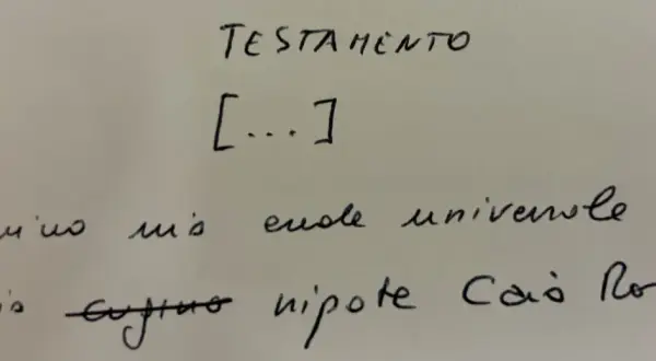 Testamento olografo non registrato: "Nomino mio erede universale mio cugino nipote Caio Ron". La validità è garantita dalla forma.