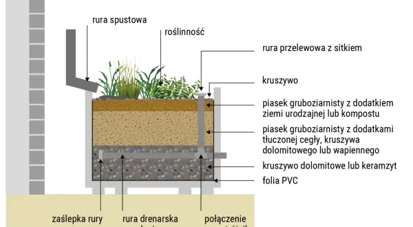 Przekrój przez ogród deszczowy pokazujący warstwy: roślinność, substrat, drenaż z rurą i odpływ.