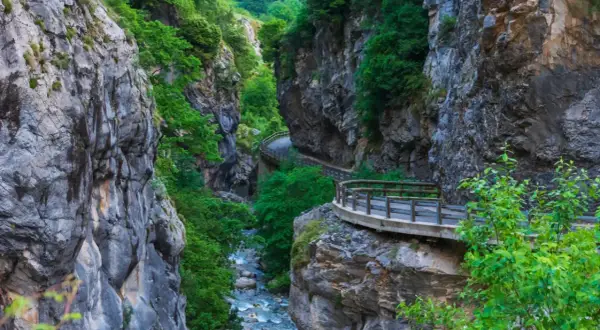 Un camino serpentea por un desfiladero en los Picos de Europa, flanqueado por imponentes paredes rocosas y vegetación exuberante.