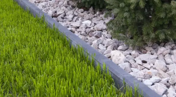Zgrabna rabata z zieloną trawą i kamieniami, oddzielona betonowym obrzeżem. Suchy beton pod obrzeża zapewnia stabilność.