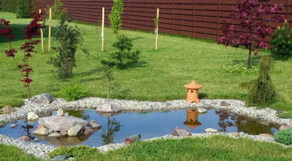 Un étang paisible avec des pierres, une lanterne japonaise et une plante bassin ornementale.