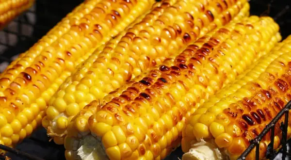 Pannocchie dorate e succose, pronte per essere gustate. Ecco come cucinare le pannocchie alla griglia per un sapore indimenticabile.