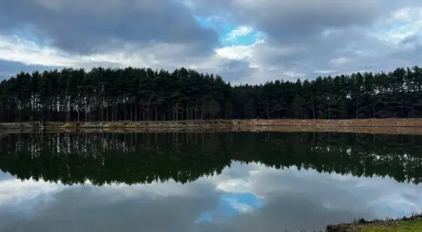 Łowisko Forest Lake: Tajniki sukcesu i karpie 20kg+?