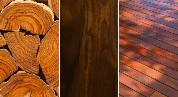 Teca, caoba e ipe: maderas blandas y duras con texturas y tonos variados, ideales para proyectos de construcción y decoración.
