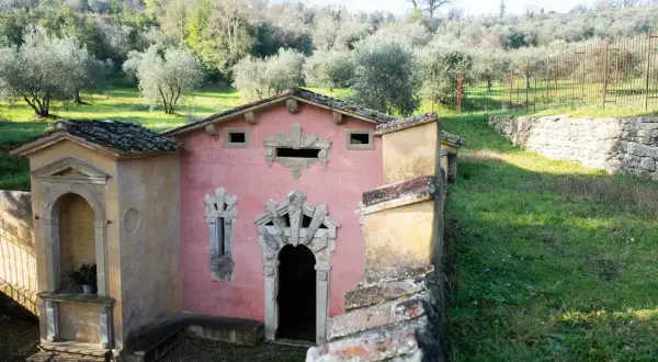 Un edificio rosa con decorazioni barocche, immerso in un uliveto. Sembra la fonte della fata morgana, un luogo incantato.