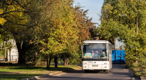 Autobus Mińsk Mazowiecki-Brześć: Gdzie znajdziesz przystanek PKS?
