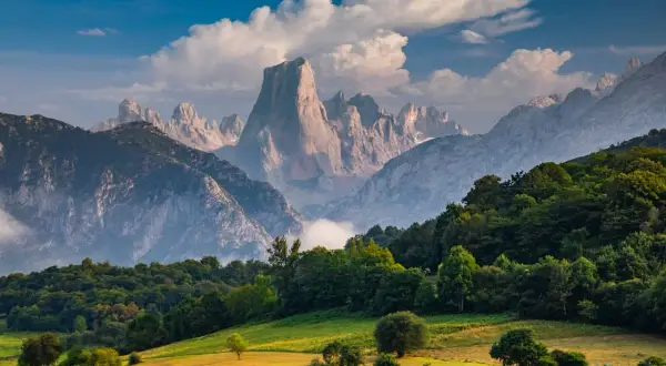Majestuosas montañas de los Picos de Europa se alzan tras un prado verde y un bosque frondoso, bajo un cielo azul con nubes algodonosas.