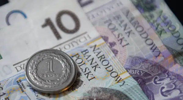 Obligacje bez odsetek: co to są i jak działają zerokuponowe?