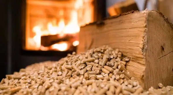 Un tas de granulés de bois devant un poêle à bois crépitant. Une bûche de bois repose sur les granulés, prête à être utilisée.