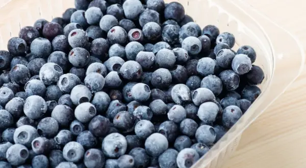 Mrożone borówki amerykańskie w plastikowym opakowaniu. Zastanawiasz się, ile jeść borówki amerykańskiej? Te małe owoce to prawdziwa bomba witaminowa!
