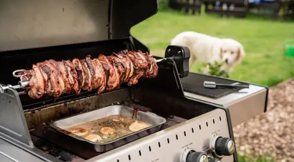Grill z rożnem obrotowym - poznaj jego zalety i funkcje, które zaskakują