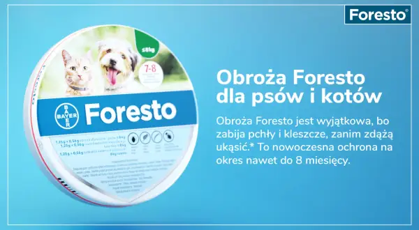 Obroża Foresto kiedy zdjąć – uniknij problemów z pchłami i kleszczami