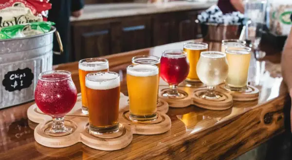 Bierverkostung mit verschiedenen Sorten in Gläsern auf Holztabletts. Perfekte trinktemperatur für jedes Bier.