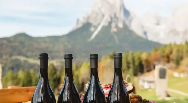 Quattro bottiglie di vino scuro, con un paesaggio montano sullo sfondo. Sembra un'ottima degustazione, magari con un buon **teddy bier** per accompagnare.