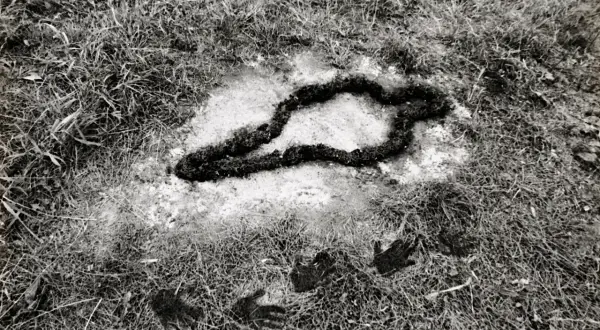 A dark, organic shape resembling a snake or a twisted rope lies in a patch of light soil, surrounded by grass. Handprints are visible in the foreground, part of the silueta series.