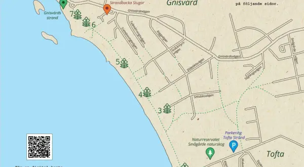Karta över Gnisvärd och Tofta strand, med markerade orkidélokaler och en kuststigen karta. QR-kod för digital karta.