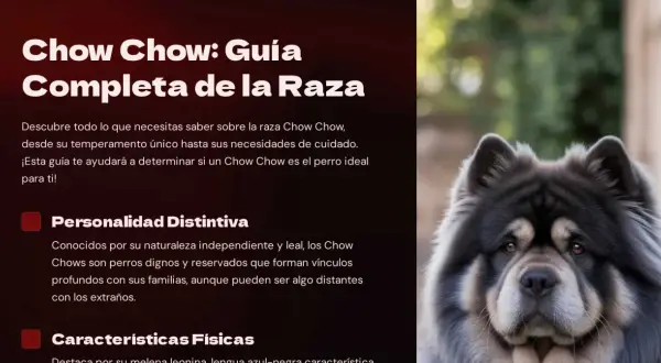 Un majestuoso perro Chow Chow, con su denso pelaje gris y negro, mira fijamente. La imagen es parte de una guía sobre la raza.