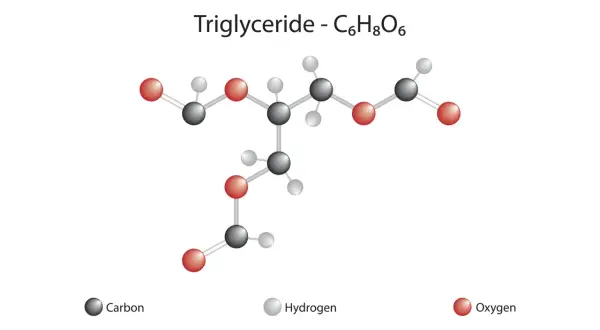 Struktura chemiczna triglicerydu, czyli tłuszczu. Pokazuje atomy węgla, wodoru i tlenu.