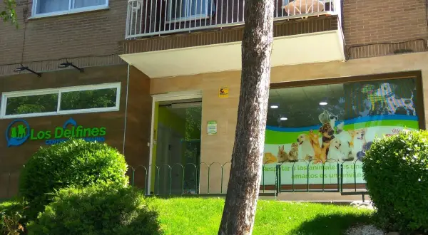 Veterinario Coslada: Mejores clínicas y servicios para tu mascota