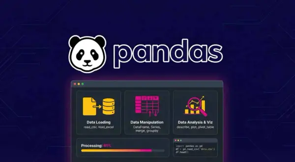 Interface de programmation pour l'analyse de données avec pandas. Chargement, manipulation et visualisation de données.