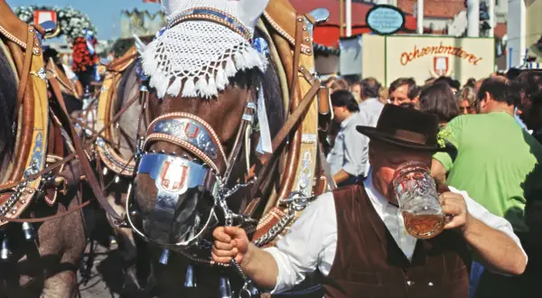 Prachtvolle Pferde mit Trachtenschmuck, ein Mann im Lederhosen-Look trinkt Bier. Ein typischer Hintergrund Oktoberfest-Stimmung.