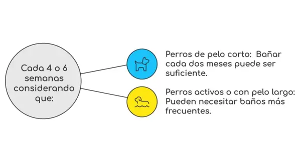 Guía sobre cada cuanto se baña a un perro: pelo corto cada dos meses, pelo largo o activos, baños más frecuentes.