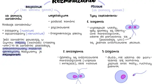Rozmnażanie bezpłciowe (zarodniki, wegetatywne) i płciowe (izogamia, anizogamia, oogamia). Mejoza tworzy mejosporami.