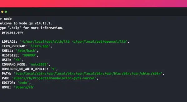 Terminal affichant les variables d'environnement de Node.js, incluant `process.env`, dans un environnement de développement.