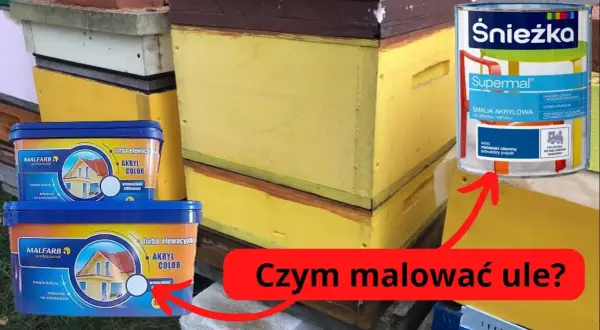Czym malować ule poliuretanowe, aby uniknąć złuszczania farby?