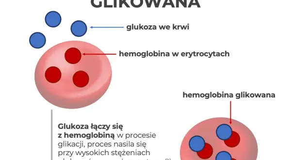 Hemoglobina glikowana (HbA1c): Co oznacza Twój wynik?