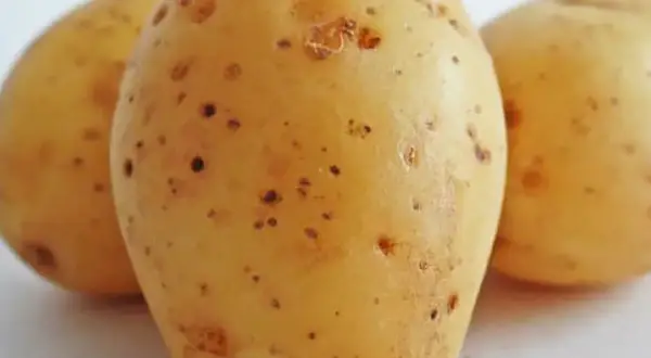 Tres patatas crudas con pequeñas manchas oscuras. ¿Te atreverías a comer patata cruda?
