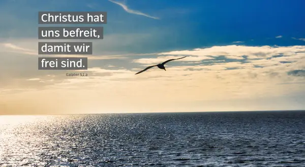 Ein Vogel fliegt über das Meer. Der Text "Christus hat uns befreit, damit wir frei sind." (Galater 5,1 a) vermittelt bibelzitate hoffnung.