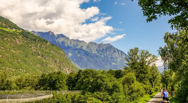 Cycliste sur la Via Claudia Augusta, traversant une vallée verdoyante bordée de montagnes majestueuses.