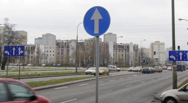 Znak drogowy jednokierunkowy z białą strzałką w górę na niebieskim tle. Po lewej stronie znak nakazu jazdy prosto lub skrętu w lewo.