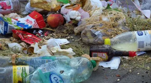 Jak segregować śmieci w Rybniku – uniknij najczęstszych błędów