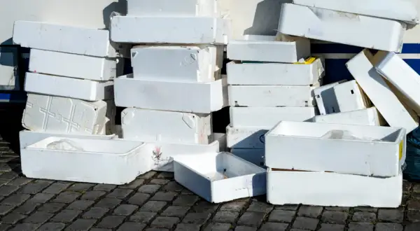 Stosy białych pojemników ze styropianu, które mogą być użyte do transportu ryb lub innych produktów. Zastanawiasz się, gdzie oddać styropian? Tutaj znajdziesz odpowiedź.