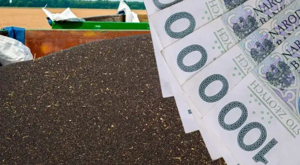 Ile płacą skupy nieruchomości? Sprawdź, co wpływa na ceny sprzedaży