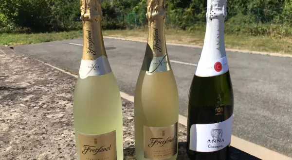 Tre bottiglie di cava spumante, due Freixenet e una Anna de Codorníu, su un muretto con sfondo verdeggiante.