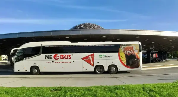 Neobus-Bus mit Pandas-Motiv am Busbahnhof, bereit für die Busreise nach Krakau.