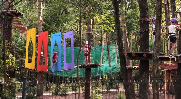 Park linowy Warszawa: Gdzie na przygodę z dziećmi? Cennik, trasy, bezpieczeństwo