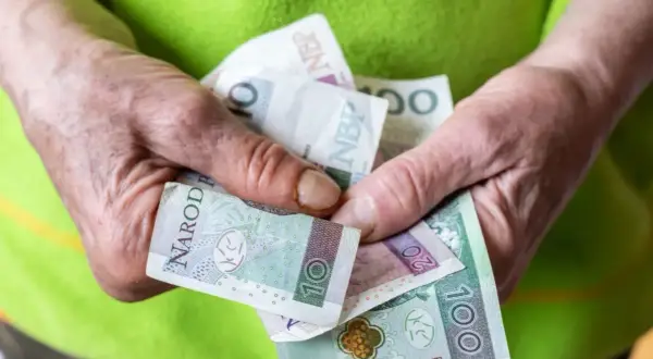 Dłonie trzymają polskie banknoty. Czy to zapowiedź nowych zasad przyznawania renty socjalnej?