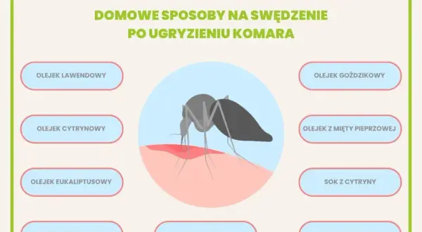 Domowe sposoby na swędzenie po ugryzieniu komara: olejki, sok z cytryny, zimne okłady i plastry z aloesu.
