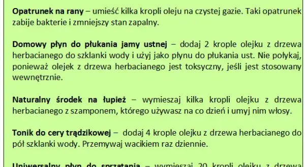 Do czego służy olejek z drzewa herbacianego? Poznaj jego mocne właściwości
