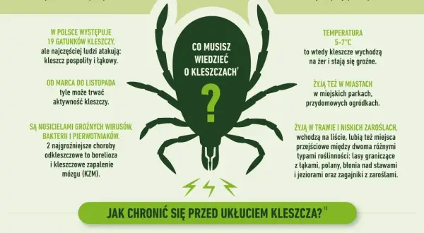 Kleszcze przenoszą boreliozę i kleszczowe zapalenie mózgu. Aktywne od marca do listopada, żyją w trawie, parkach i lasach.