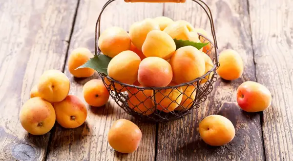 Kosz pełen soczystych moreli Early Orange na drewnianym blacie.