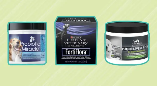 Szukasz, gdzie kupić probiotyk dla psa? Na zdjęciu trzy produkty: Probiotic Miracle, Purina FortiFlora i Probiotic Premium Plus.